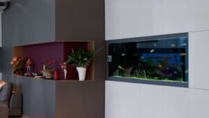 Read more about the article Different aquariums for different ideas